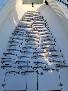 Mackerel Fishing Thrills in Oak Island NC Waters